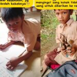 Screenshot_20251009_163250_TikTok