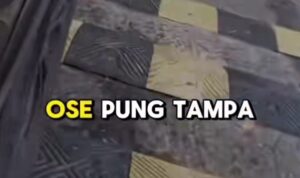 Screenshot_20251028_122306_TikTok