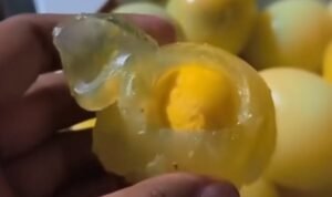 Screenshot_20260119_072405_TikTok