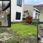 Photoroom_20260225_020630